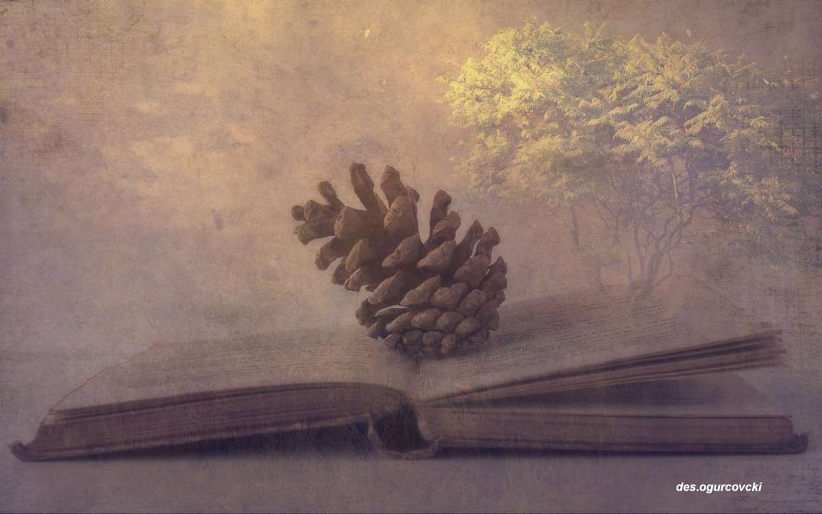 ������ ����� ����� ���������  �� PhotoGeek.ru #������