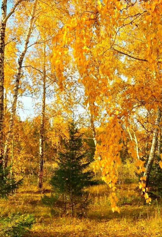 ������ ����� ����� ���������  �� PhotoGeek.ru #������ ��� �������