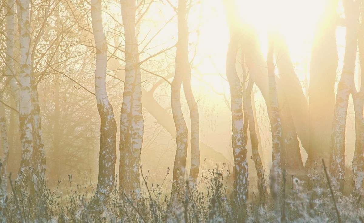 ������� ���� ����� ���������  �� PhotoGeek.ru #������ ��� �������