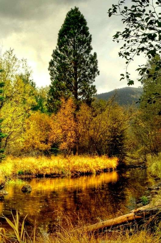 ������� ������� ����� ���������  �� PhotoGeek.ru #������ ��� �������