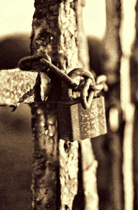 ������ ����� ����� ���������  �� PhotoGeek.ru #�����