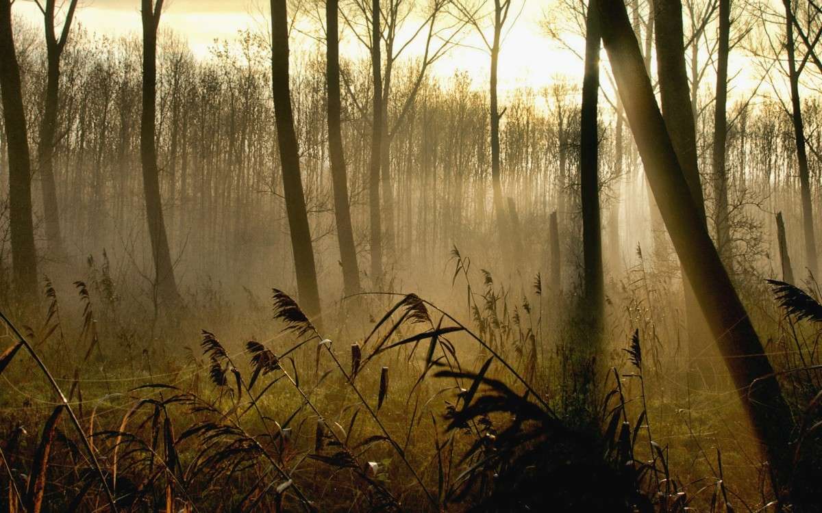 ������� ���� ����� ���������  �� PhotoGeek.ru #������ ��� �������