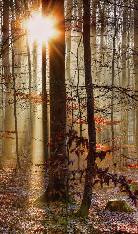 ������ ���� ����� ���������  �� PhotoGeek.ru #������ ��� �������