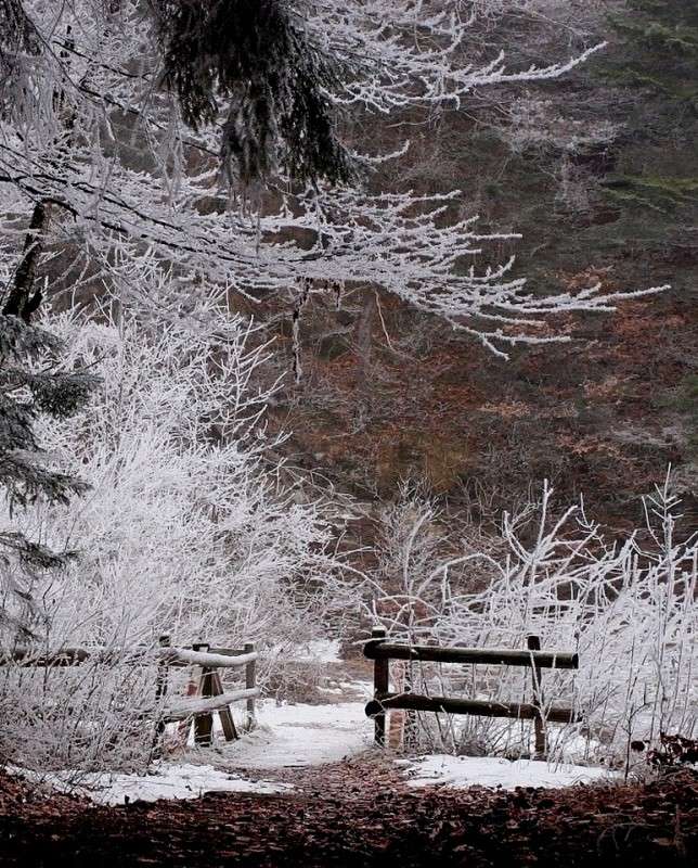 ������ ���� ����� ���������  �� PhotoGeek.ru #������ ��� �������