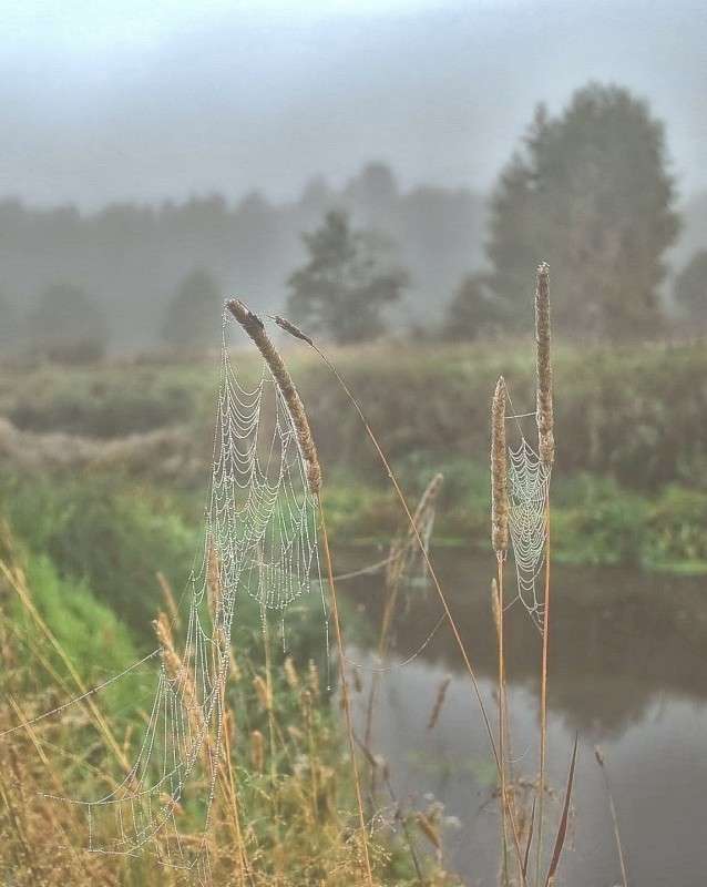 ����� ����� ���������  �� PhotoGeek.ru #������ ��� �������