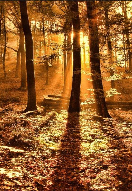 ����� ����� ���������  �� PhotoGeek.ru #������ ��� �������