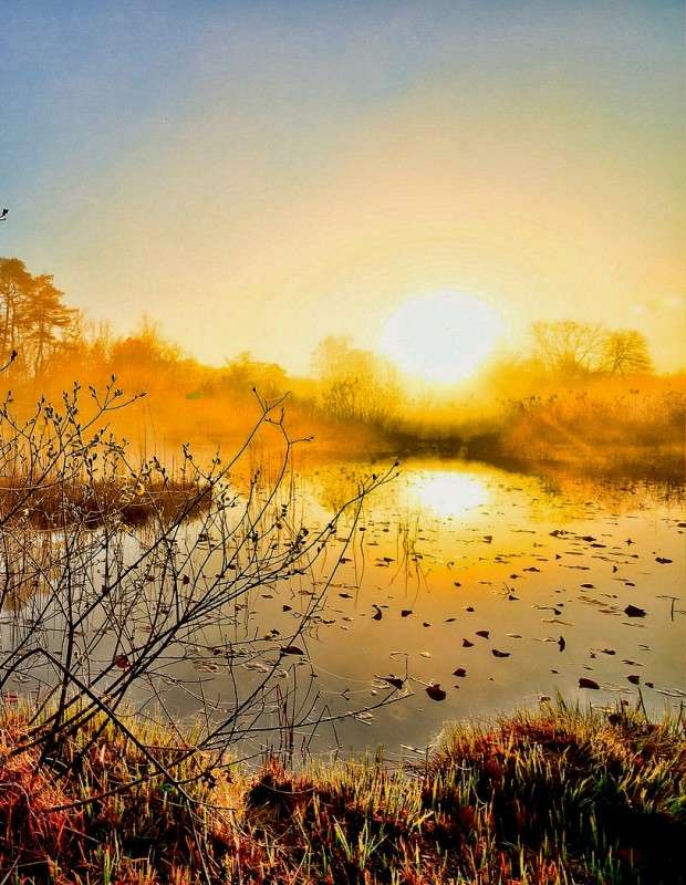 ����� ����� ���������  �� PhotoGeek.ru #������ ��� �������