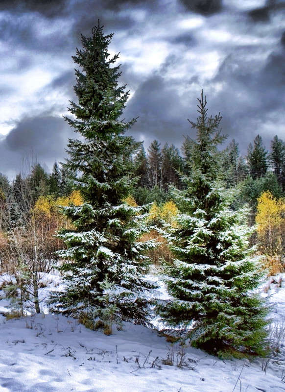 ����� ����� ���������  �� PhotoGeek.ru #������ ��� �������