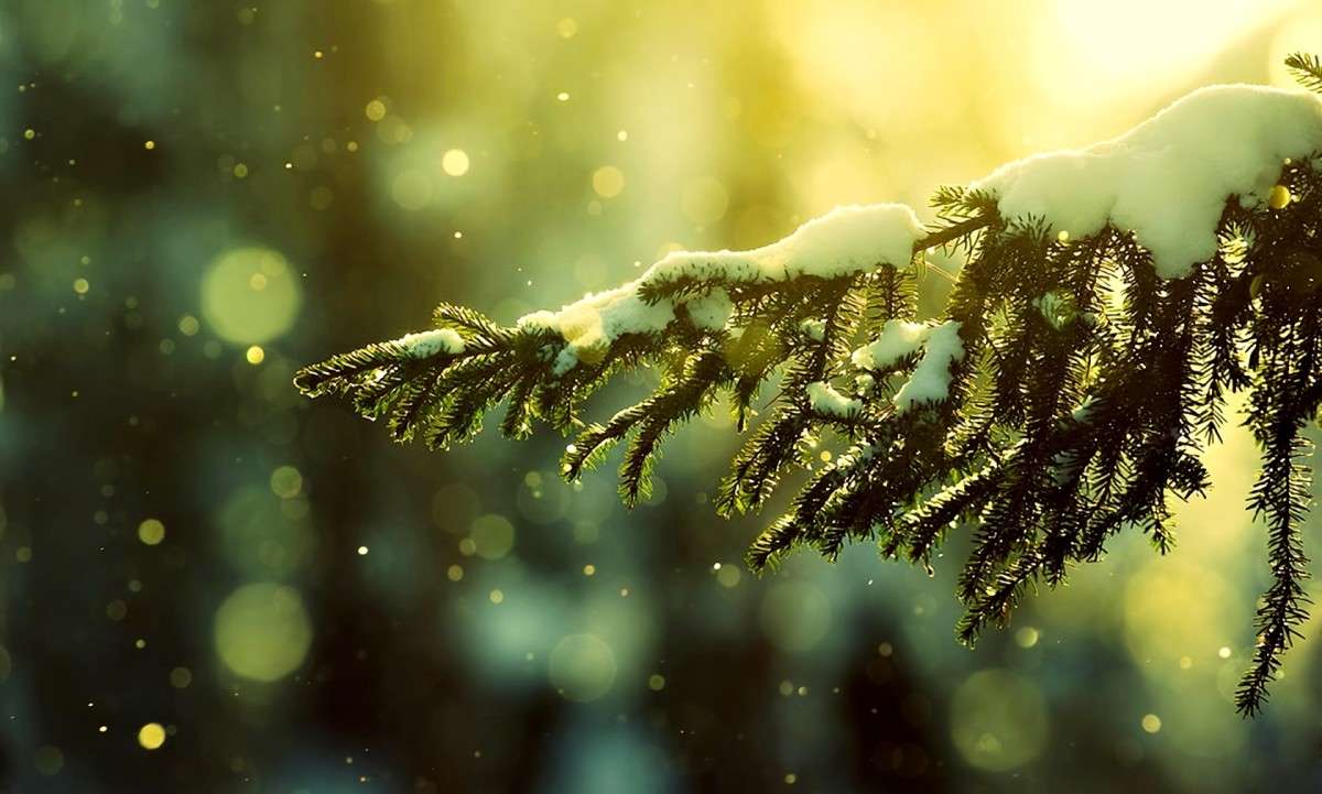 ���� ����� ���������  �� PhotoGeek.ru #������ ��� �������