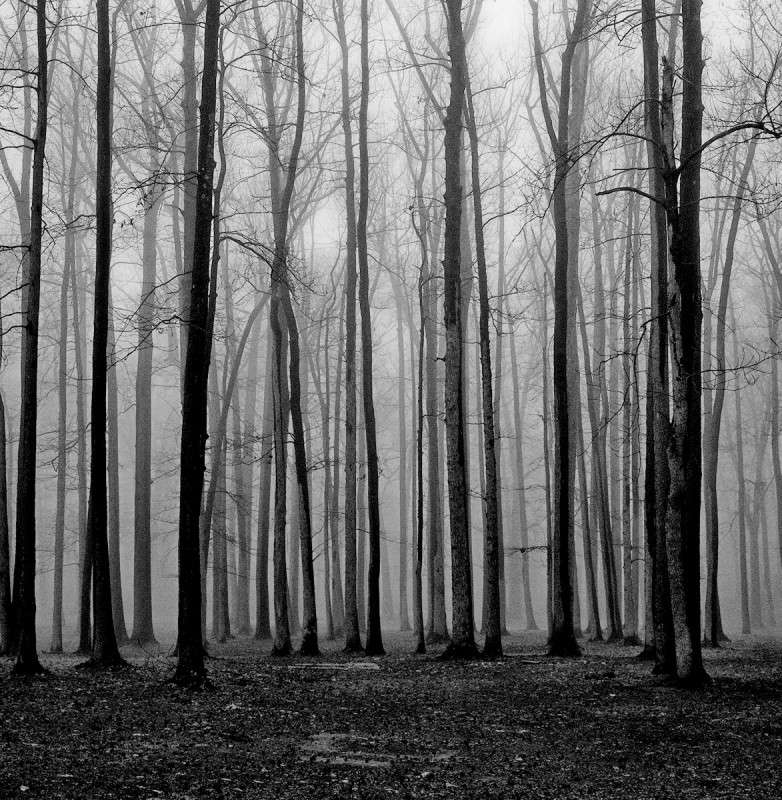 ������ ����� ���������  �� PhotoGeek.ru #������ ��� �������