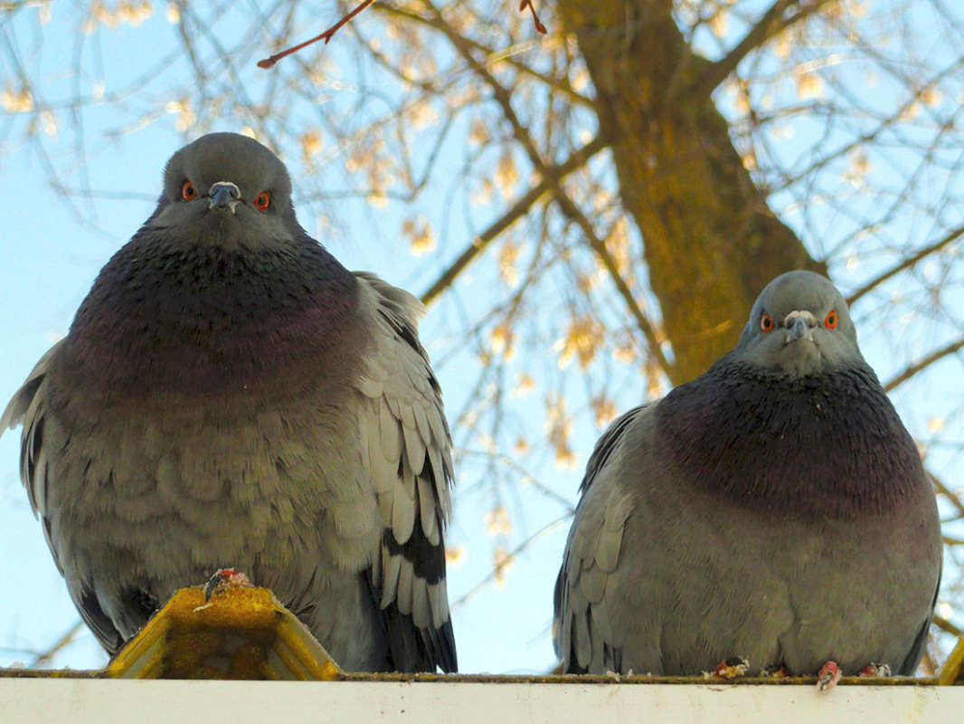 ������ ����� �����  �� PhotoGeek.ru #�������� ���