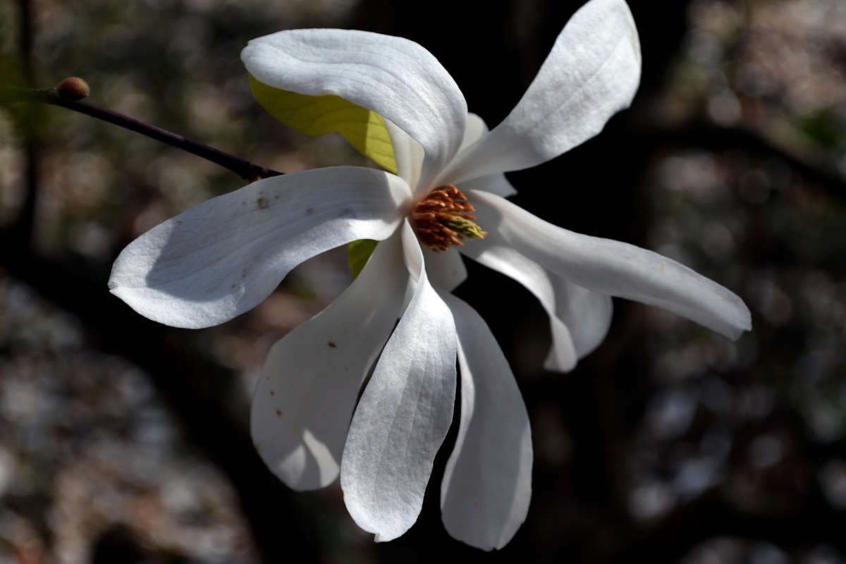 �������� ����� �����  �� PhotoGeek.ru #����� #������ ��� �������