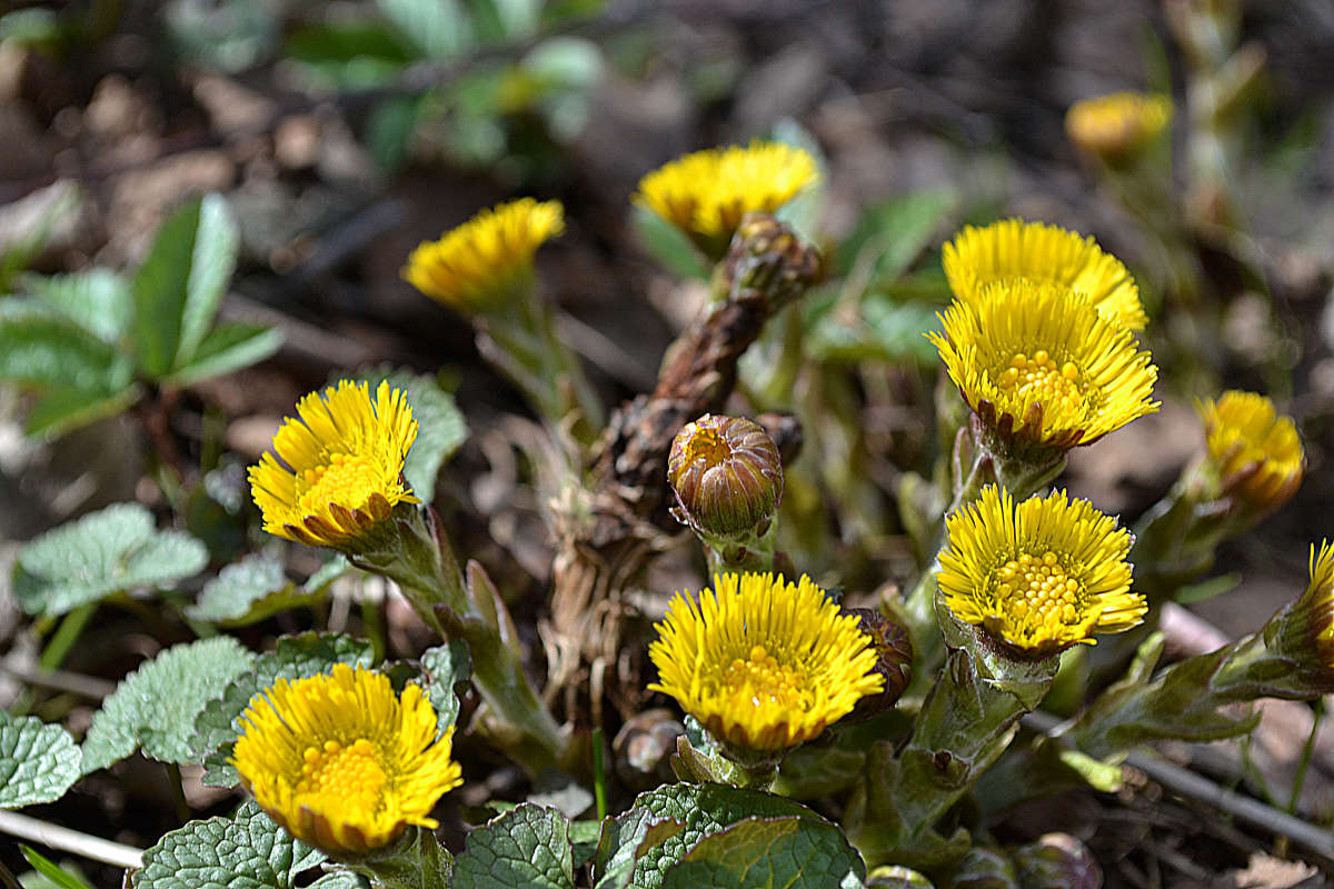 ���� � ������ ����� �����  �� PhotoGeek.ru #������ ��� �������