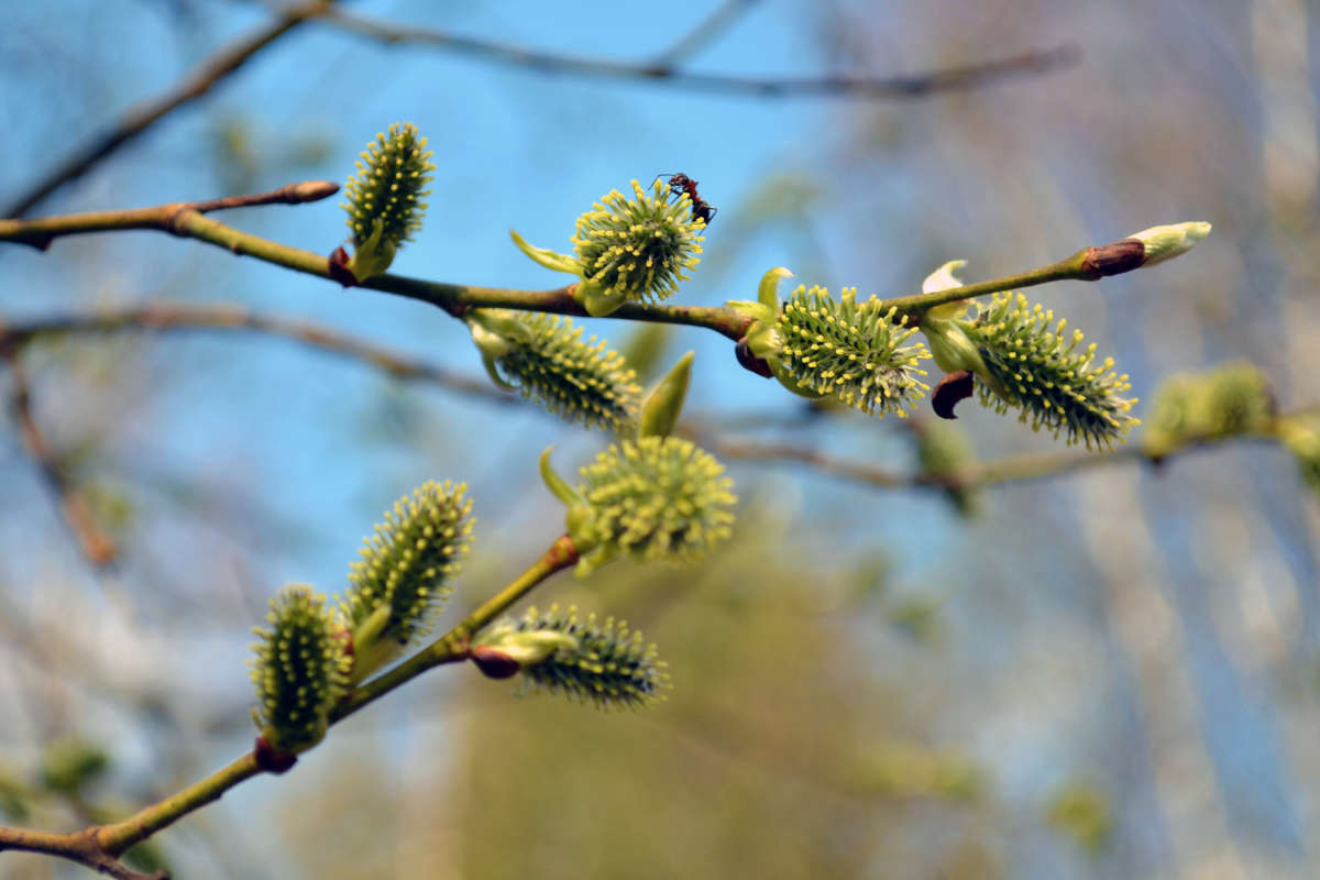 ���� � �������� ����� �����  �� PhotoGeek.ru #������ ��� �������