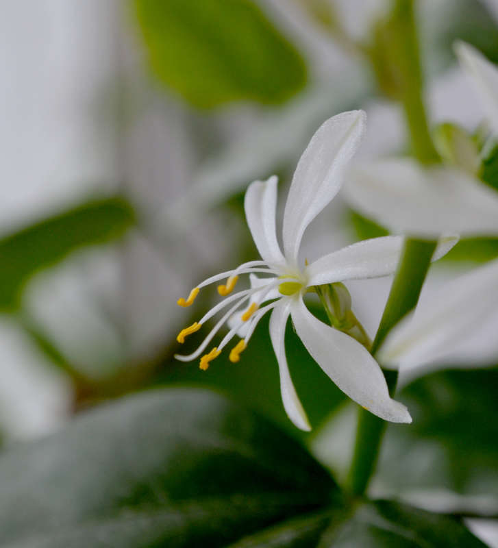 ���������� ����� �����  �� PhotoGeek.ru #������ ��� �������