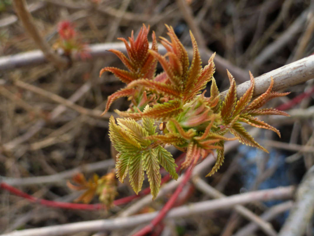 �������� ������������� ����� �����  �� PhotoGeek.ru #������ ��� �������