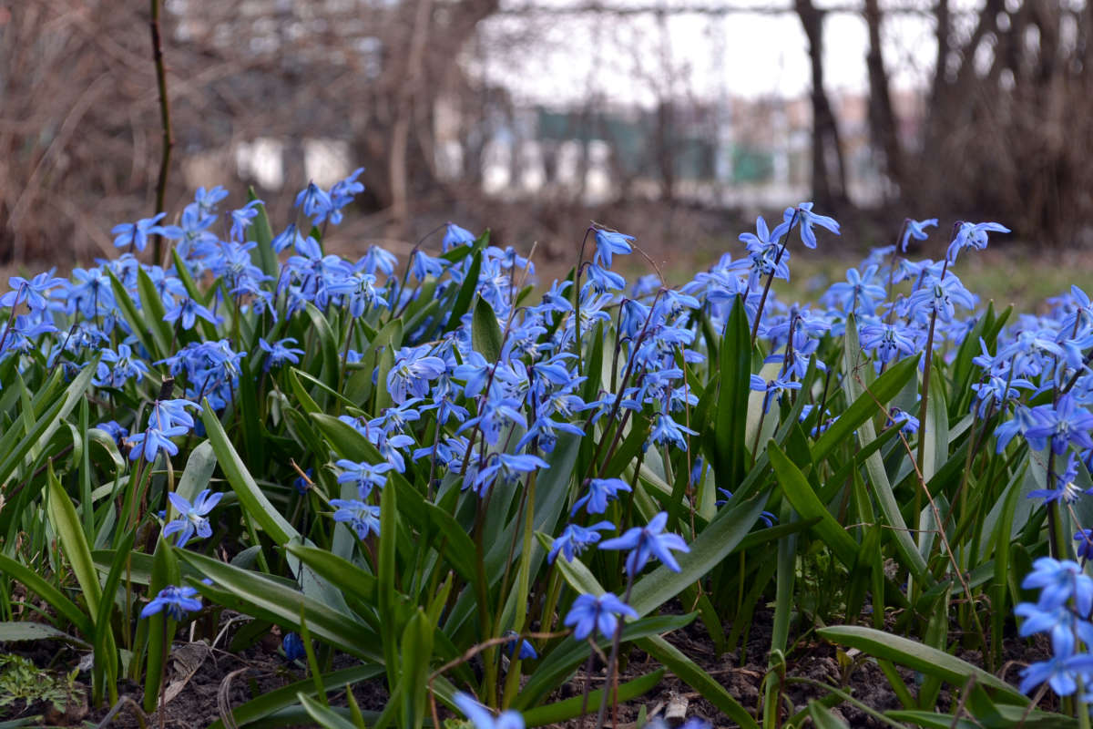 �������� ����� �����  �� PhotoGeek.ru #������ ��� �������