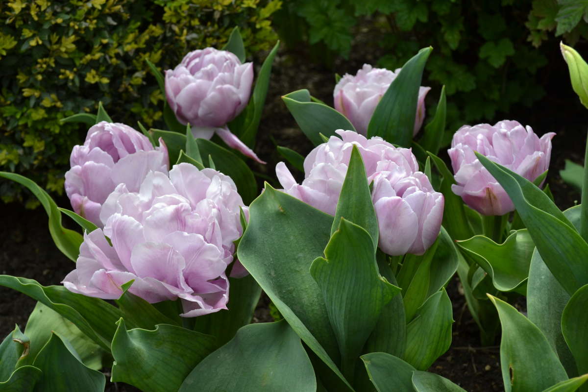 �������� ����� �����  �� PhotoGeek.ru #������ ��� �������