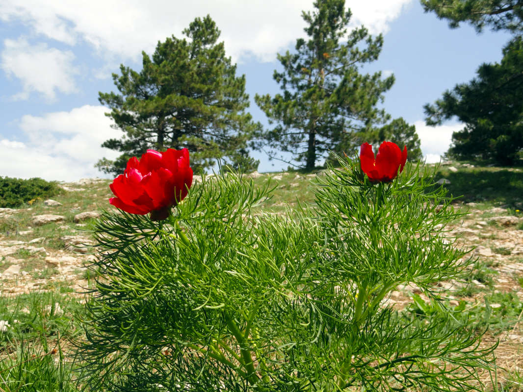 ����� � ����� ����� ����� �����  �� PhotoGeek.ru #������ ��� �������