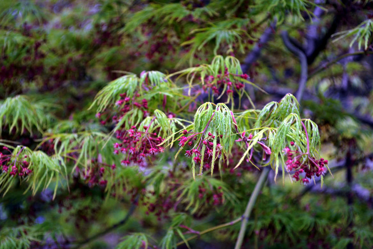 �������� ���� � ����� ����� �����  �� PhotoGeek.ru #������ ��� �������