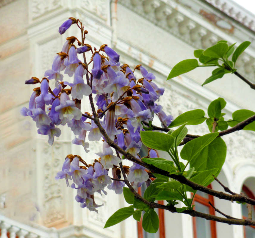 ��������� ����� �����  �� PhotoGeek.ru #������ ��� �������