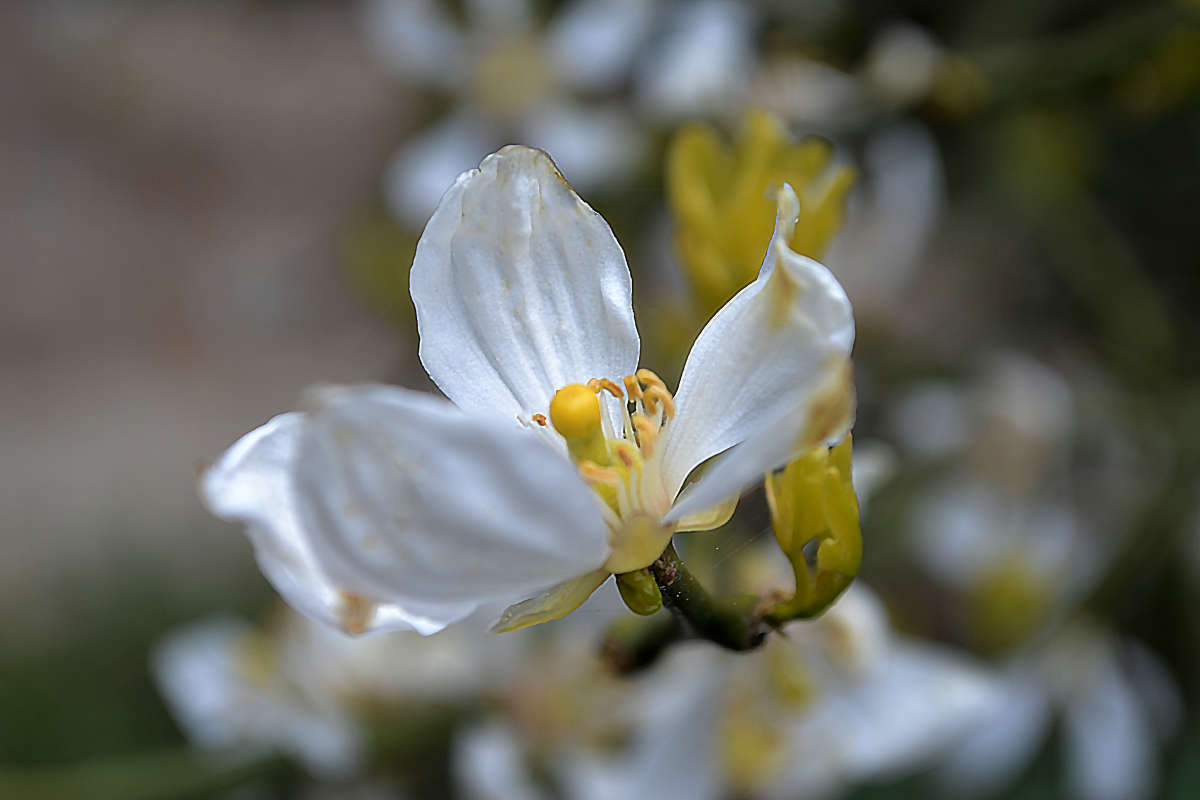 �������� ����� �����  �� PhotoGeek.ru #������ ��� �������