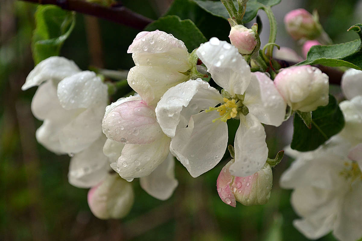 ������ ����� �����  �� PhotoGeek.ru #������ ��� �������