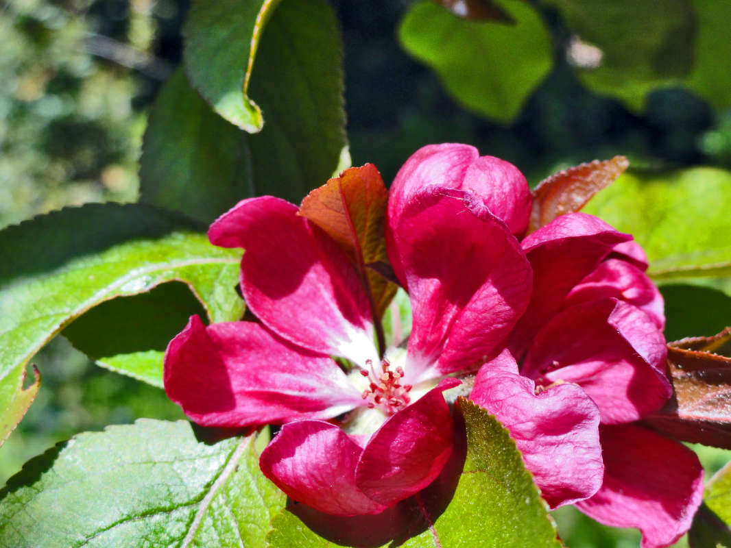 �������� ����� �����  �� PhotoGeek.ru #������ ��� �������