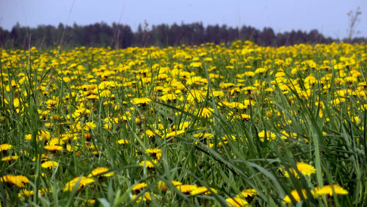 ���� ����������� ����� �����  �� PhotoGeek.ru #������ ��� �������