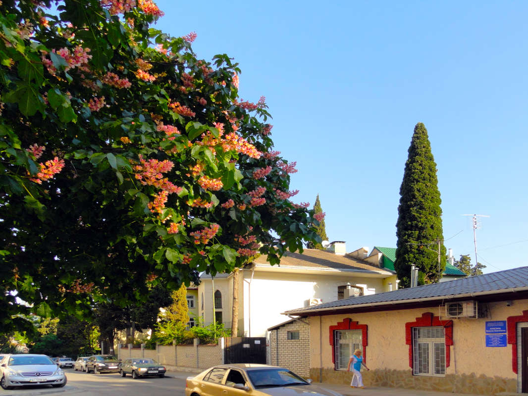 �������� ���� ����� �����  �� PhotoGeek.ru #������ ��� �������