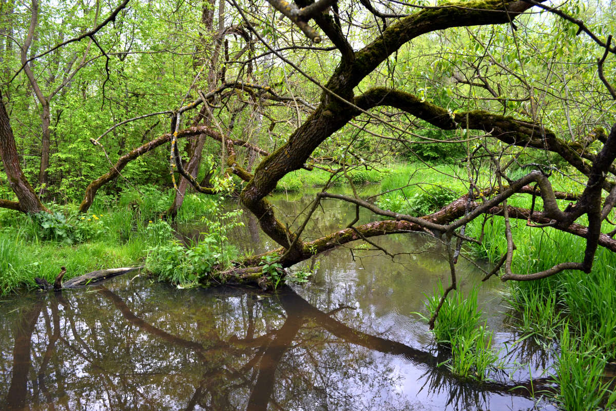 � ����� ����� ����� �����  �� PhotoGeek.ru #������ ��� �������