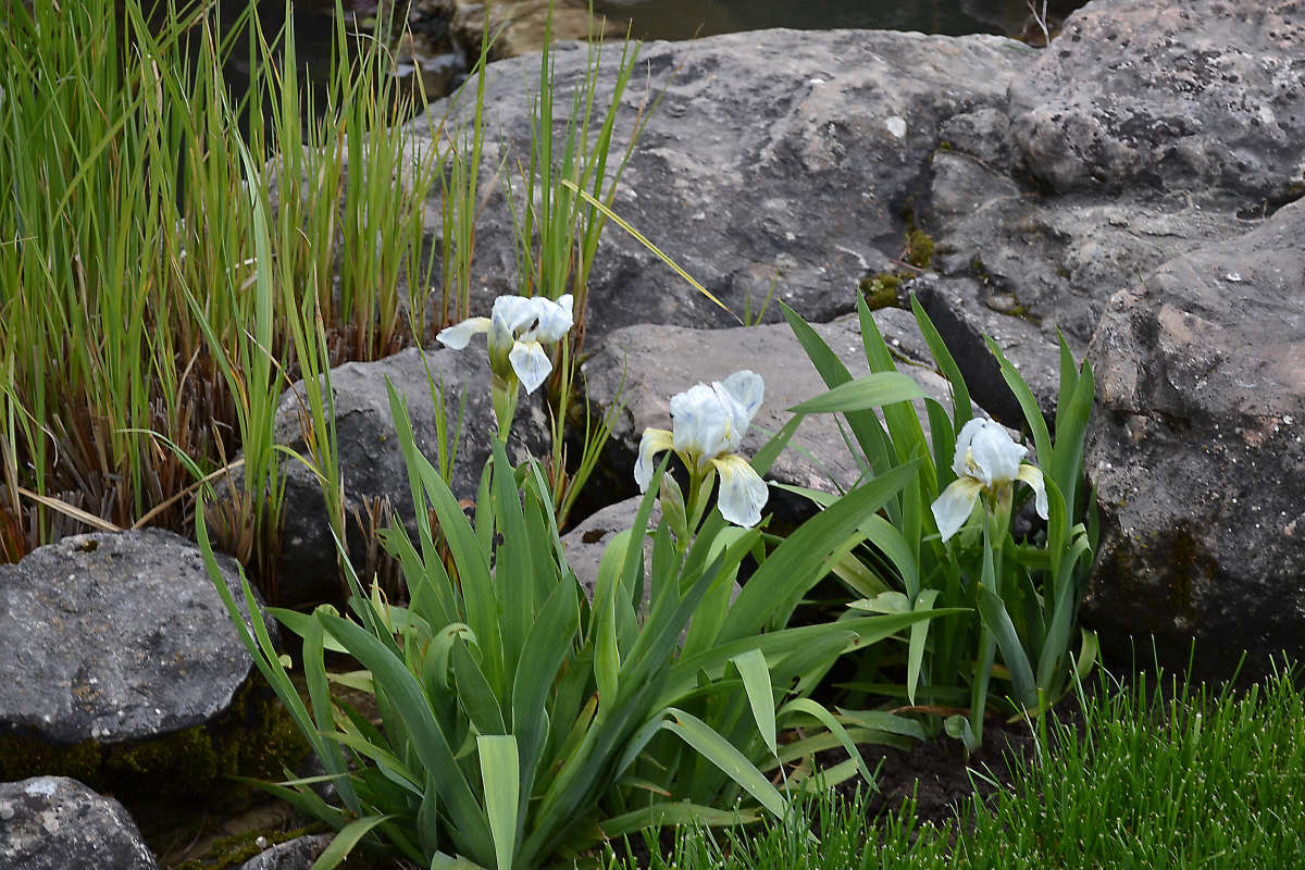 ����� ����� �����  �� PhotoGeek.ru #������ ��� �������