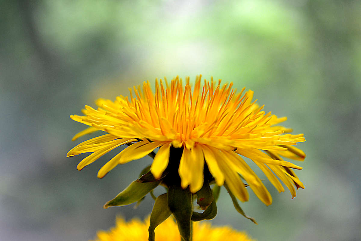 ��������� ����� �����  �� PhotoGeek.ru #������ ��� �������