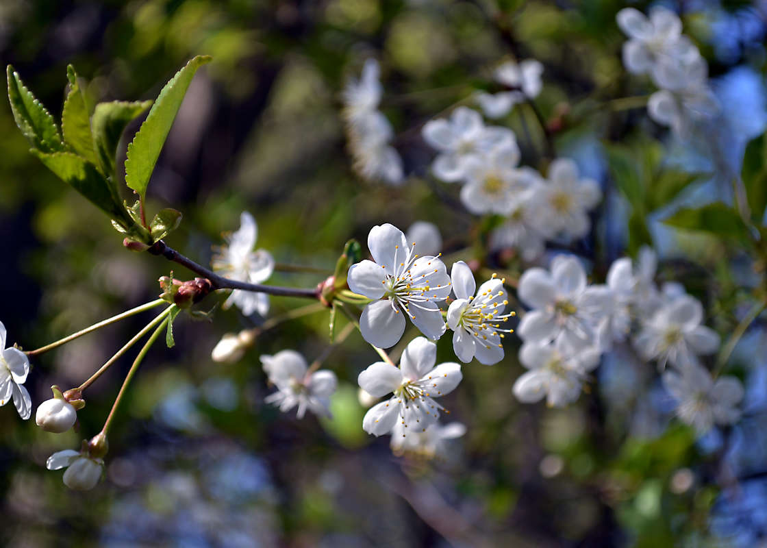 ..... ����� �����  �� PhotoGeek.ru #������ ��� �������