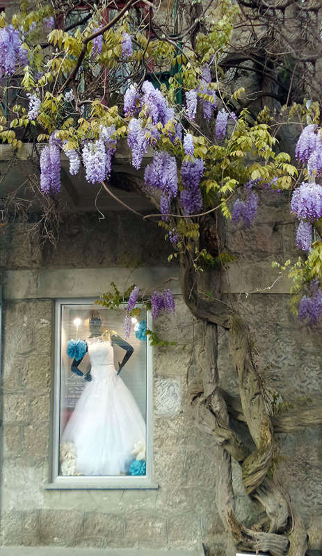 ��������� ������� ����� �����  �� PhotoGeek.ru #����� #������ ��� �������