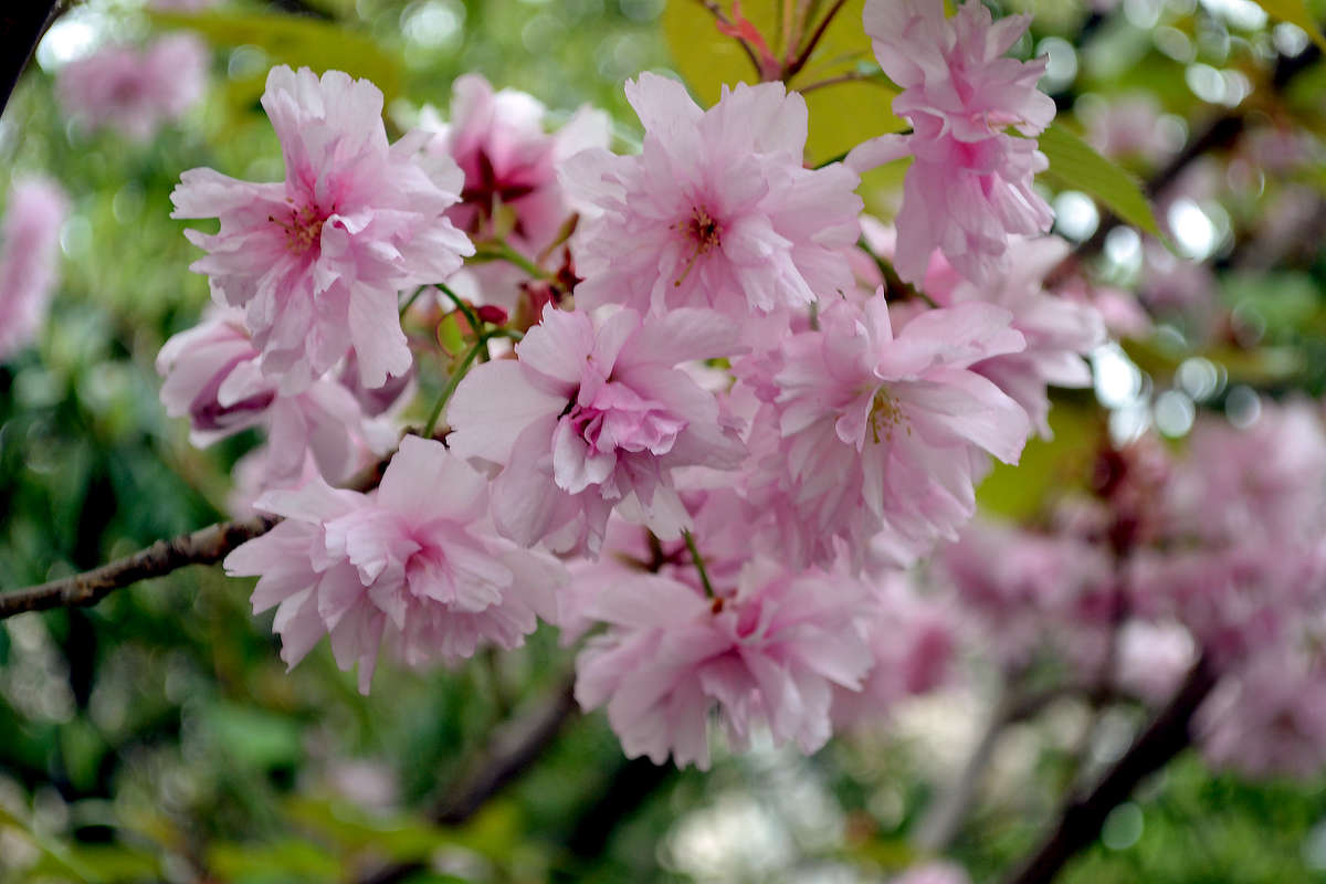 ������������ ����� ����� �����  �� PhotoGeek.ru #����� #����� #������ ��� �������