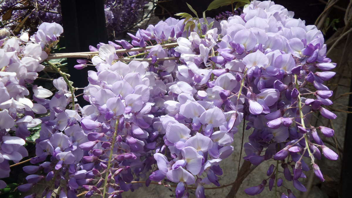 �������� ����� �����  �� PhotoGeek.ru #����� #������ ��� �������