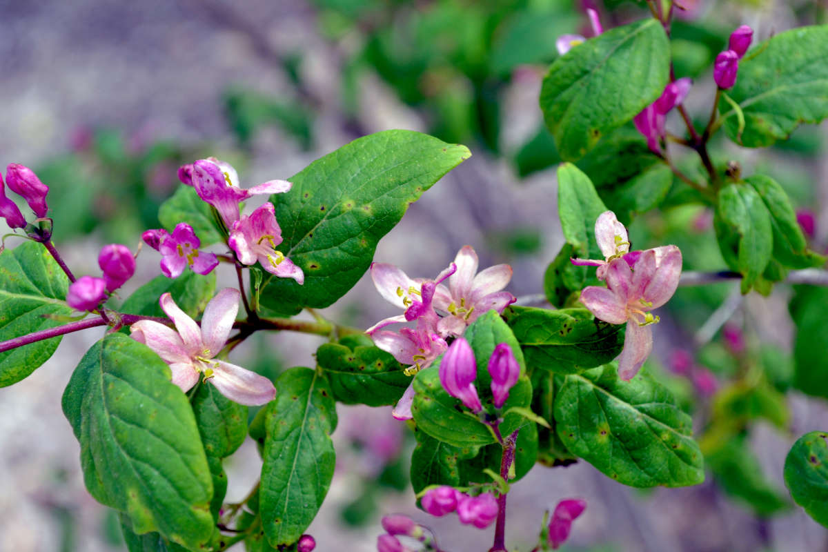 ��������� ����� �����  �� PhotoGeek.ru #������ ��� ������� #����� �������������� #���������