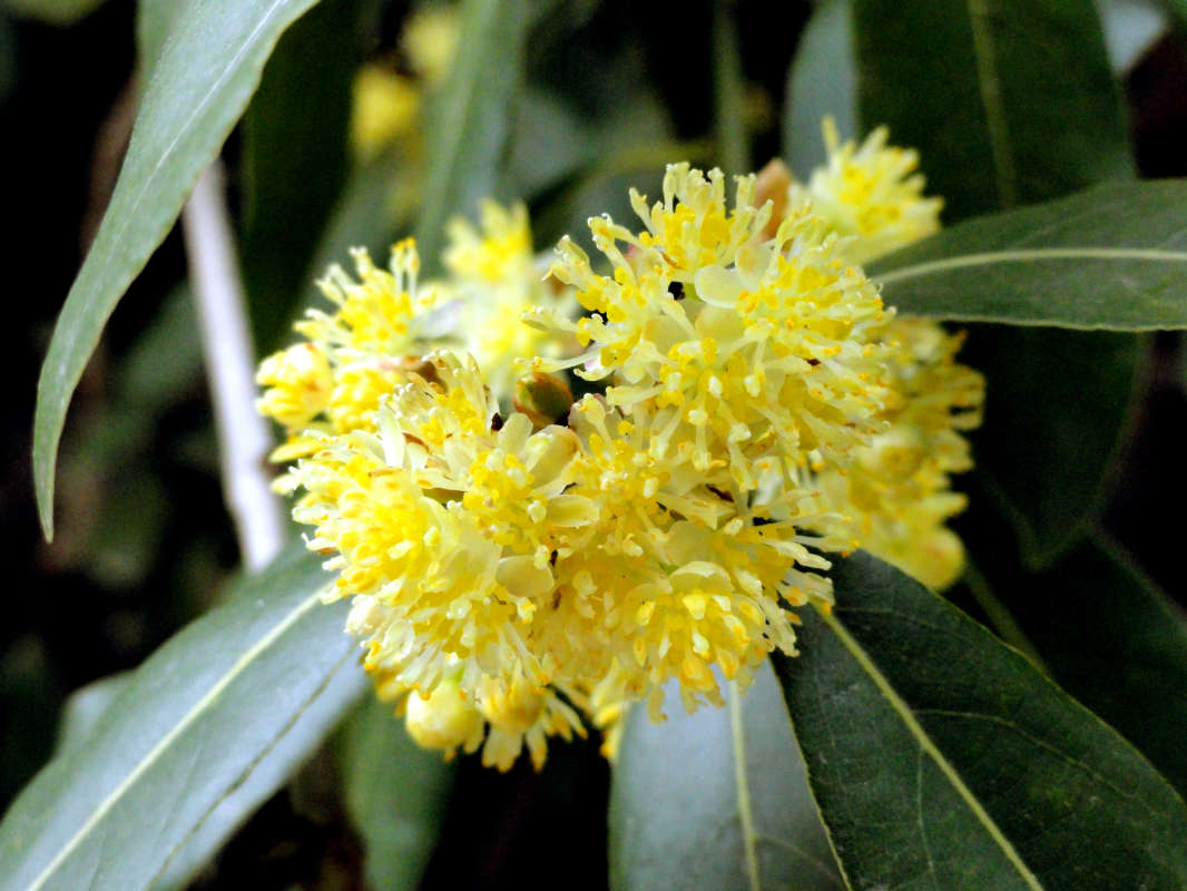 �������� �������� ����� �����  �� PhotoGeek.ru #������ ��� ������� #����� �������������� #���������