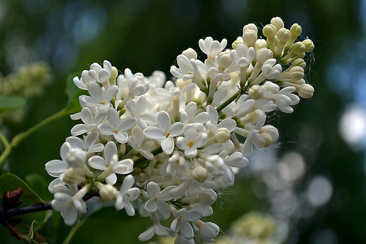 ... ����� �����  �� PhotoGeek.ru #������ ��� ������� #���������