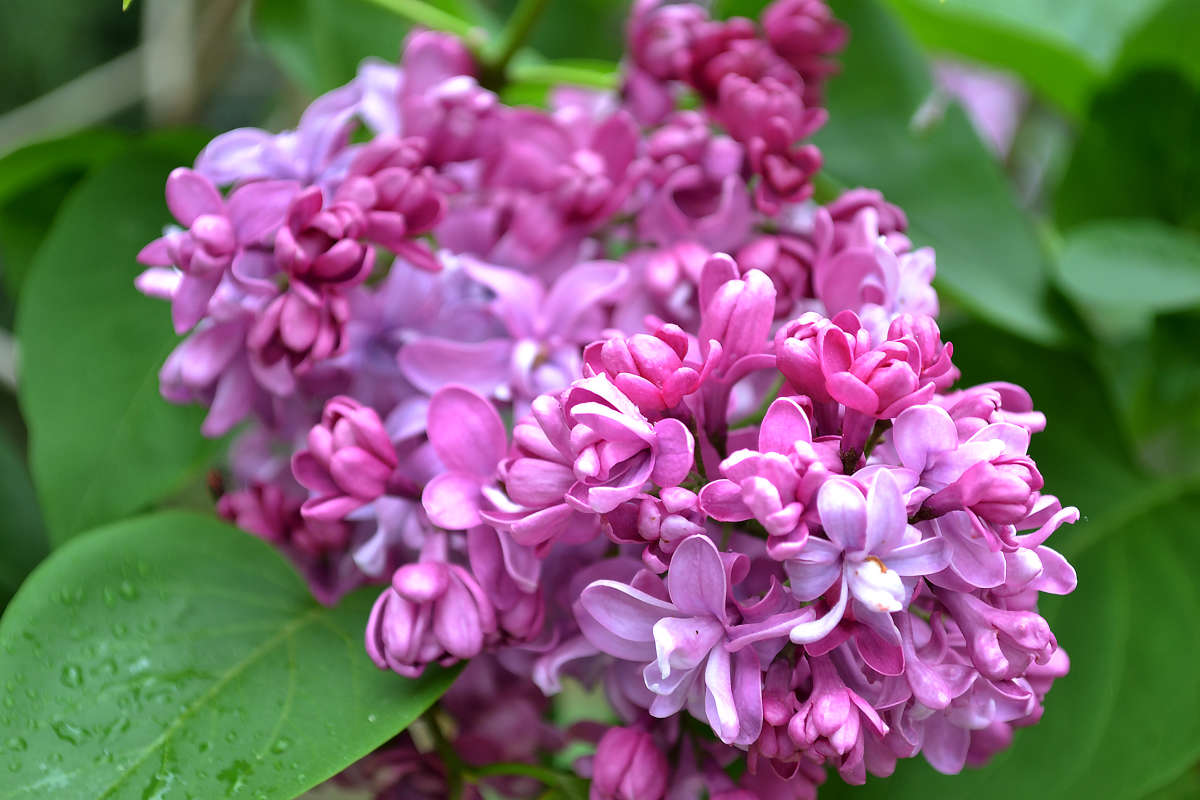 ... ����� �����  �� PhotoGeek.ru #������ ��� �������