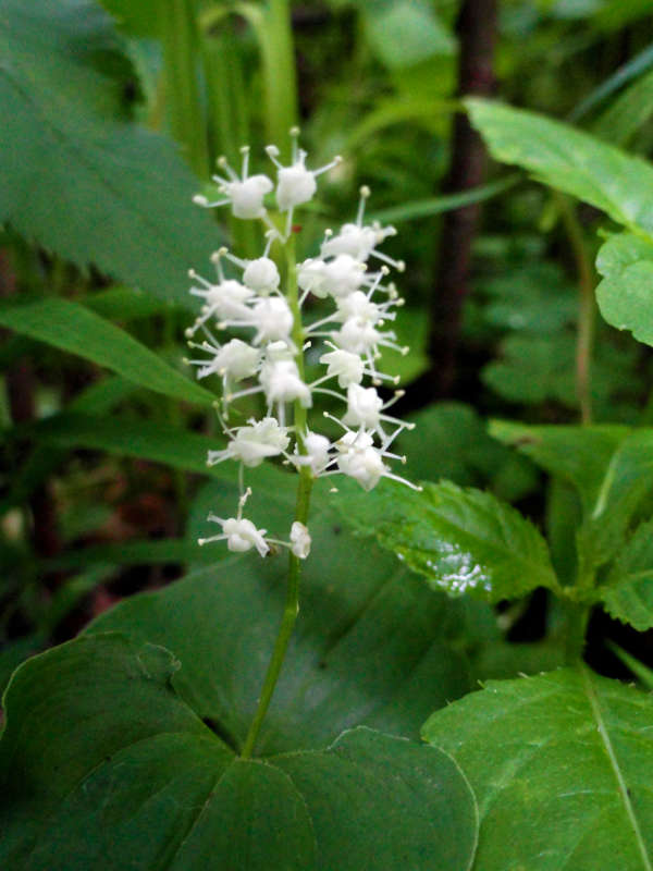 ������ ����� �����  �� PhotoGeek.ru #������ ��� �������