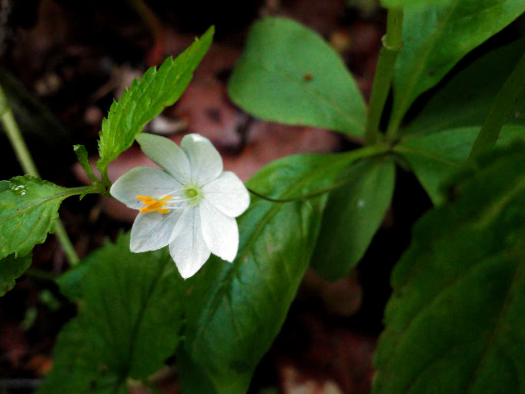 ��������� ����� �����  �� PhotoGeek.ru #������ ��� �������