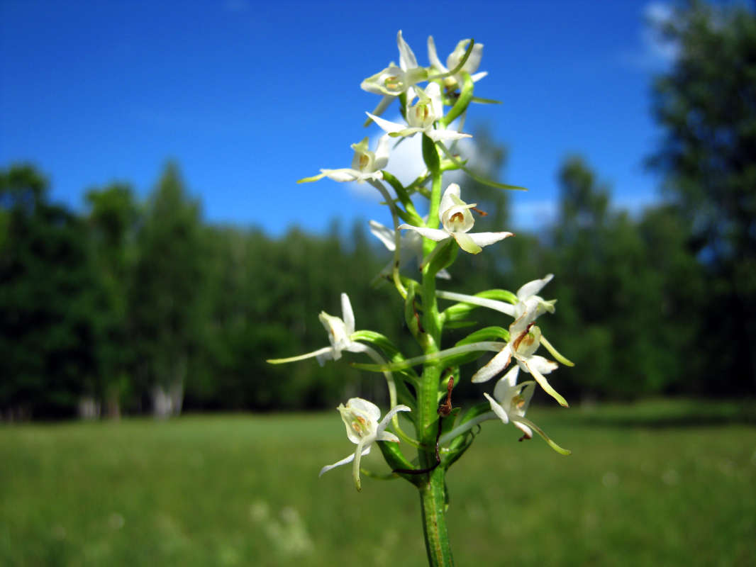 �������� ������� ����� ����� �����  �� PhotoGeek.ru #������ ��� �������