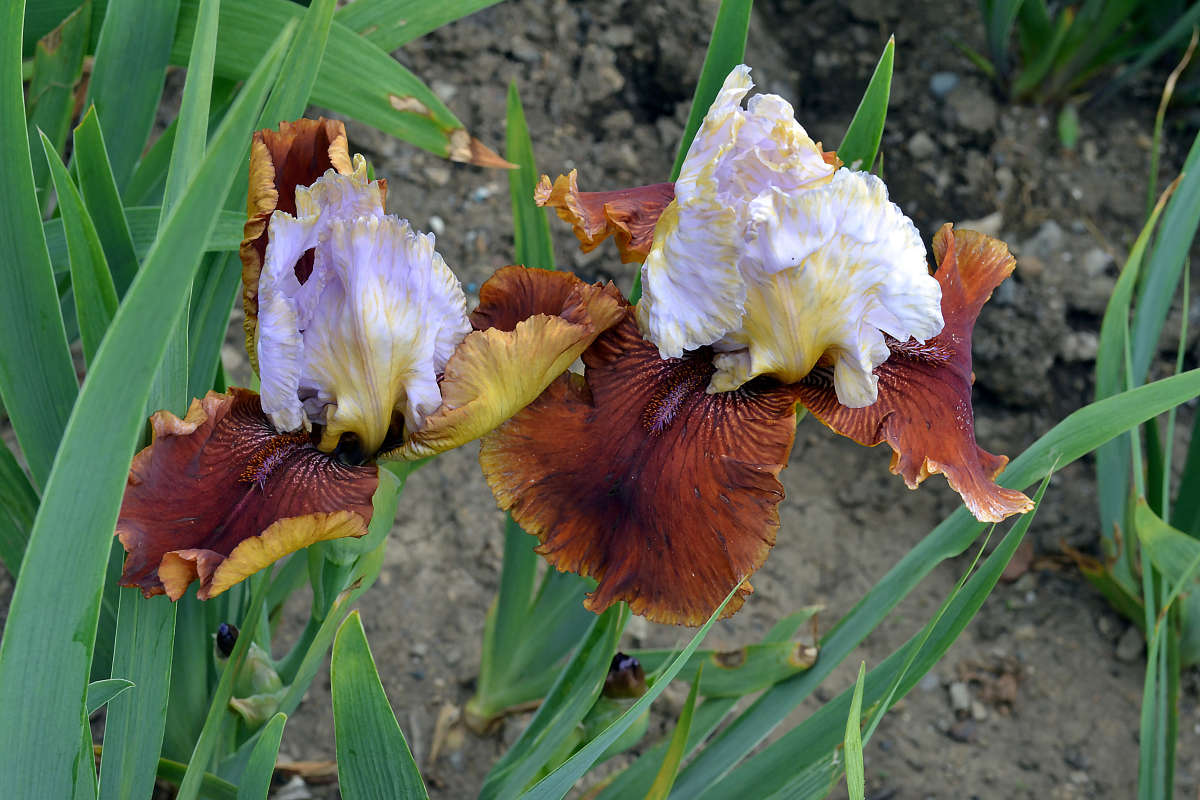 ����� ����� �����  �� PhotoGeek.ru #����� #������ ��� ������� #����� ��������������