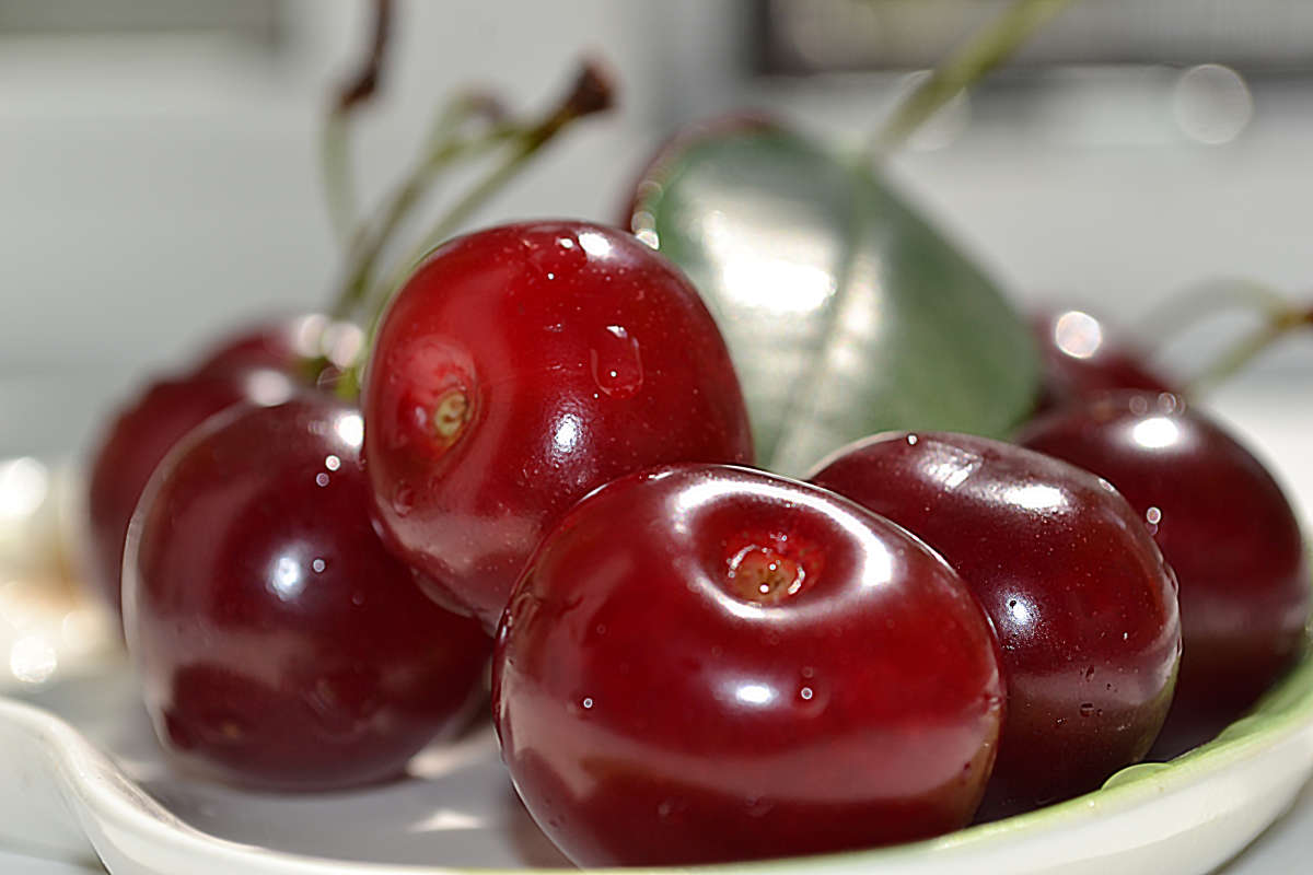 ����� ����� �����  �� PhotoGeek.ru #�������� ����������