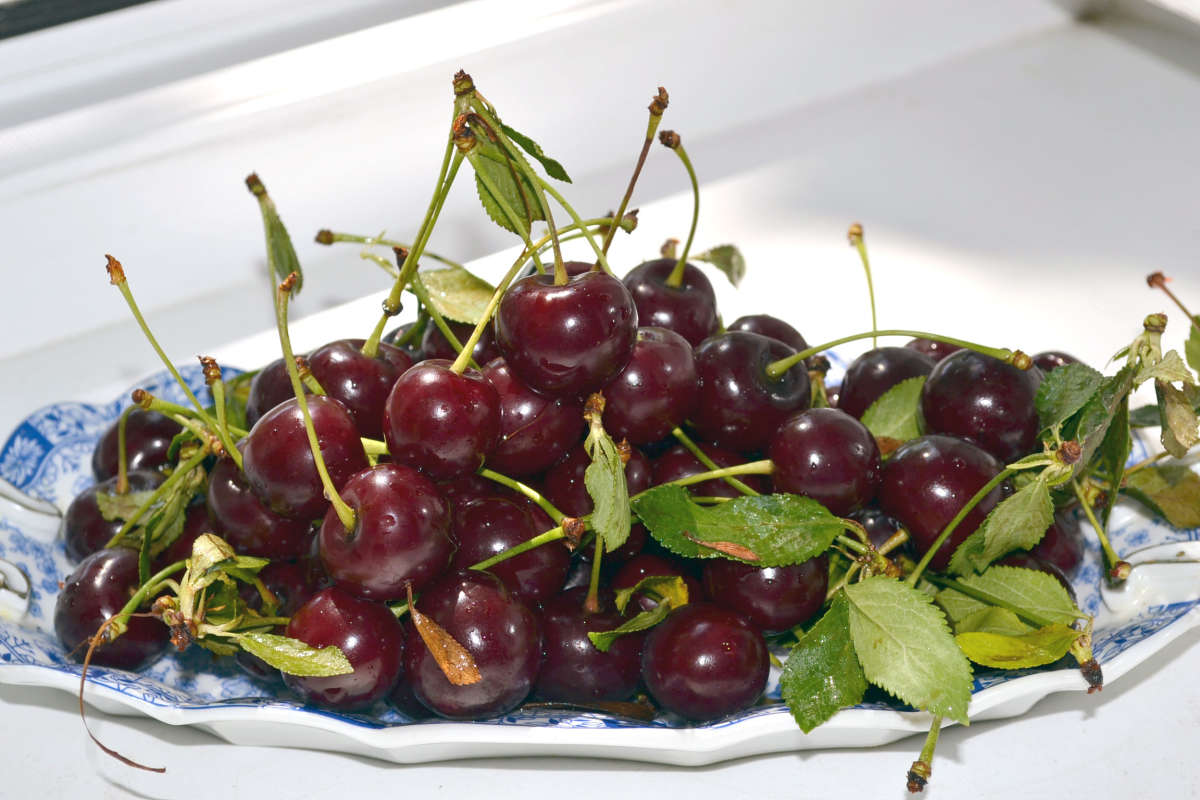 ����� ����� �����  �� PhotoGeek.ru #�������� ����������