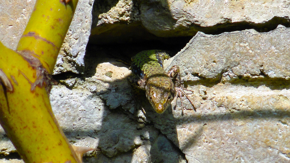 ����������� �� ����� ����� �����  �� PhotoGeek.ru #�������� ���