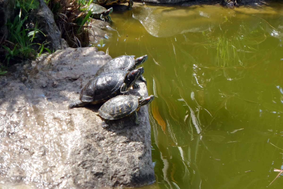 ��������� ����� ����� �����  �� PhotoGeek.ru #�������� ���