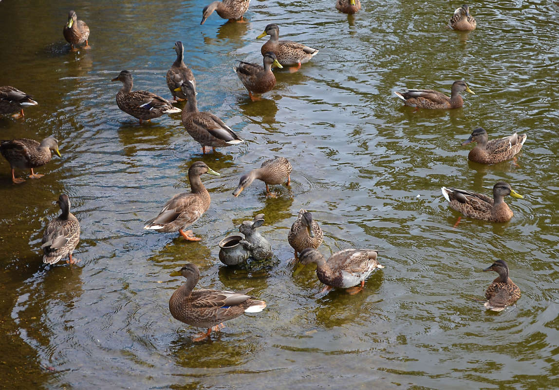 ����� ���������� ����� �����  �� PhotoGeek.ru #�������� ���